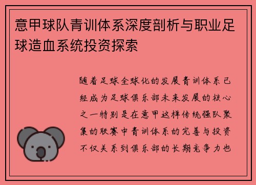 意甲球队青训体系深度剖析与职业足球造血系统投资探索